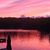 Cheryl Nardella's profile image