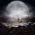Brenda Allen Smithey's profile image