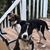 Melinda Lake Robinson's profile image
