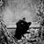 Jody Tinney's profile image