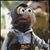 Matthew Gracon's profile image