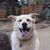 Susan Foster's profile image