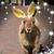 Becky Kneeland Calandri's profile image