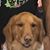 Cesar Ledezma's profile image