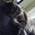 Zoe Aragno's profile image