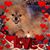 Fay Andersen's profile image