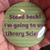 Sonya Schryer Norris's profile image