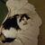James Ferguson's profile image