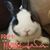 Joanie George's profile image