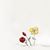 Shannon Fackler's profile image