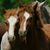 Jim DeBell's profile image