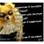 Cindi Robert's profile image