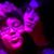 Essie Tarver's profile image