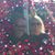 Melissa Taylor's profile image