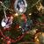 Kathy Christ Short's profile image