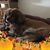 Sally Wenzel Perko's profile image
