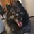 Robert Vranes's profile image
