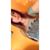 Gracyn Wyatt's profile image