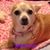Melanie Persons Sands's profile image