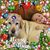 Sally Guritz's profile image