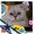 Carol Ann Smith-Morris's profile image