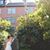 Jessica Anne Brown's profile image