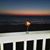Gerda LaGrasse's profile image