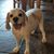 Terri Marotto Atkins's profile image