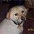 Mary Sonnemann Mieloszyk's profile image