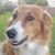 Elaine Lane's profile image
