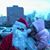 Rose Anderson's profile image