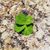 LeAnn Hale Blevins's profile image