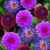Linda Walters's profile image