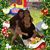 Susan ODonnell's profile image