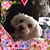 Marcia Pipetti's profile image