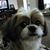 Joanne Fidelman's profile image