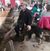 David Dingman's profile image