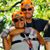 Linda Pandy Schwartz's profile image