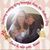 Jenn Shawk's profile image
