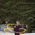 Leanna Sharer Stephens's profile image