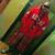 El Mentado's profile image