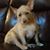 Maggie Johnston Gonzalez's profile image