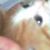 Michelle Missy Wampole's profile image