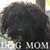 Leslie Ann Marshall-McLaughlin's profile image