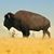 Grant Hatcher Thompson's profile image