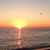 Alba C Stolly's profile image