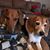 Jennifer Kissell Richie's profile image