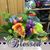 Sherry Jackson's profile image