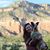 Cassie Wandersee's profile image