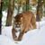 Marilyn Kinney's profile image